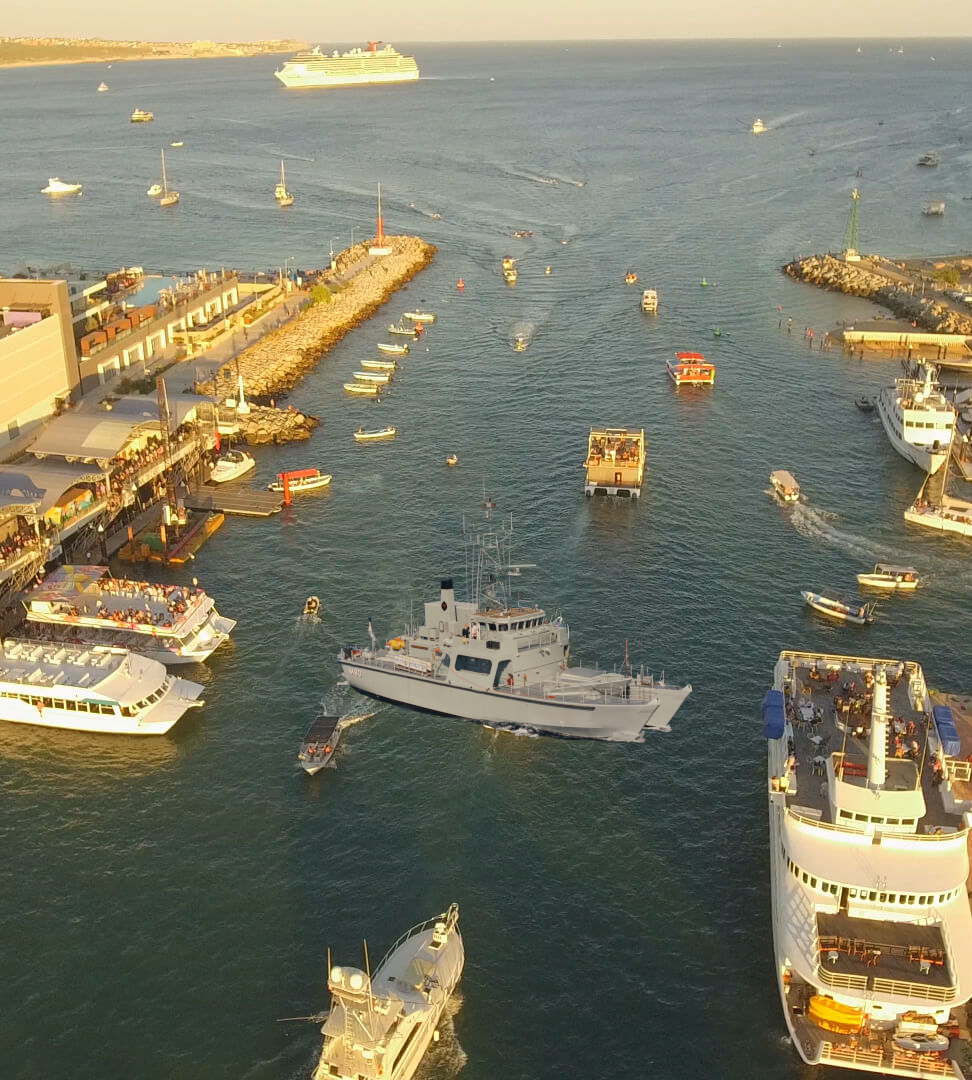 Rent A Boat Cabo photo view of the marina and bay of Cabo with hundreds of boats